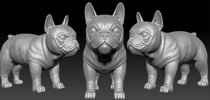 French Bulldog