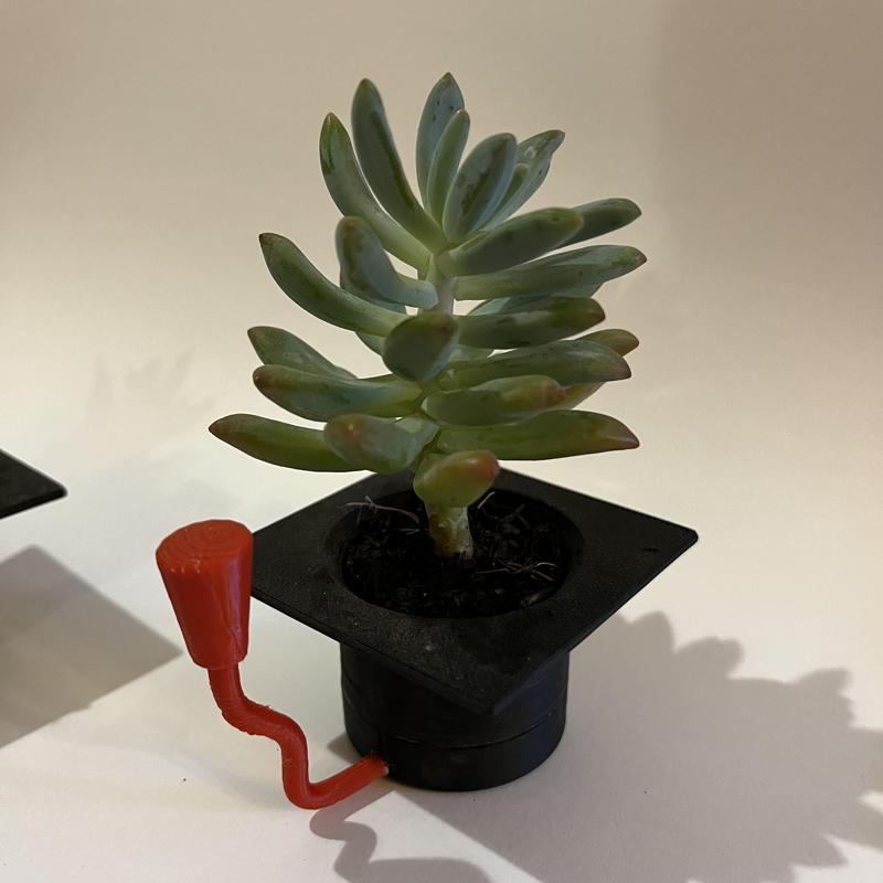 Mini Graduation Cap Succulent Pot – Creative Graduation souvenir / keepsake
