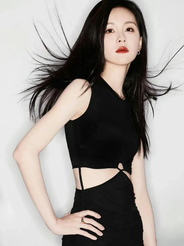 Multi-color printing and multi-color photos without AMS are also possible (by Chen Dulin)