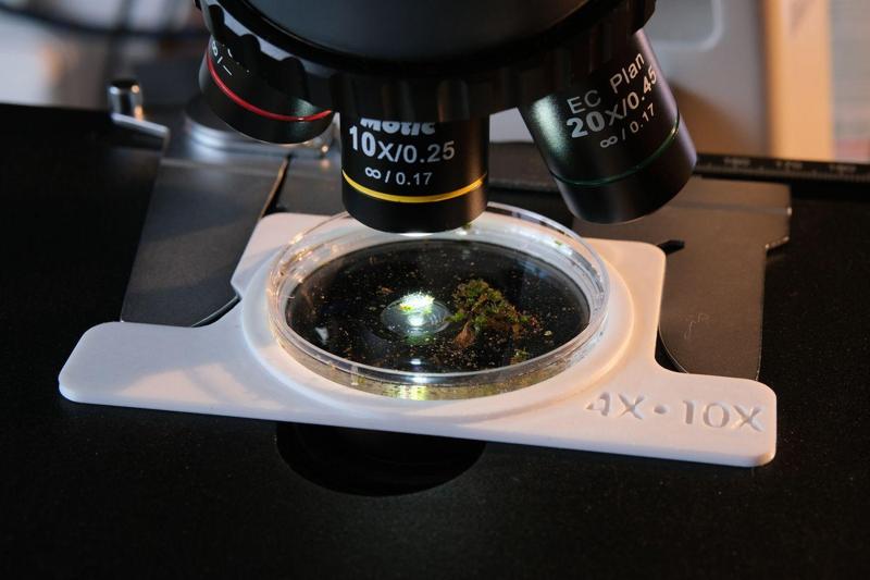 Petri dish holder for microscope MOTIC BA210E and BA310E (BA210 and BA310 Elite versions)