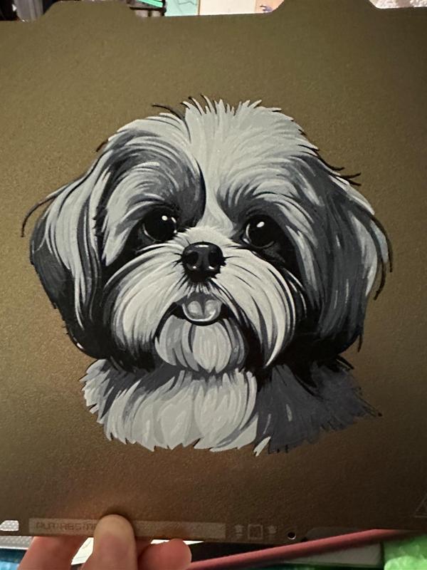 Shih Tzu dog Hueforge (150x150mm)