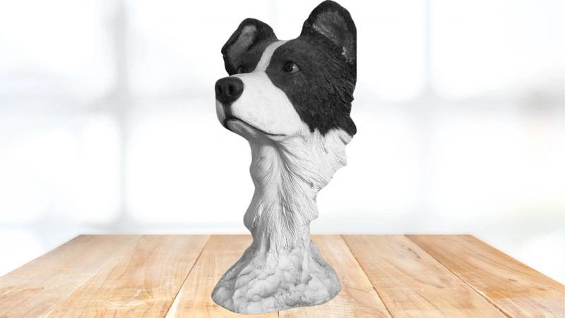 Border Collie Bust