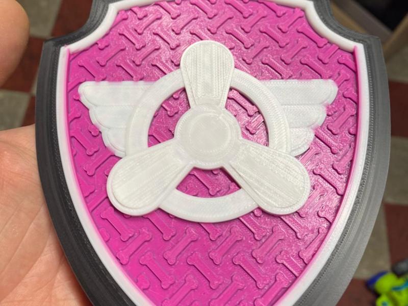 Paw Patrol Badge Sky