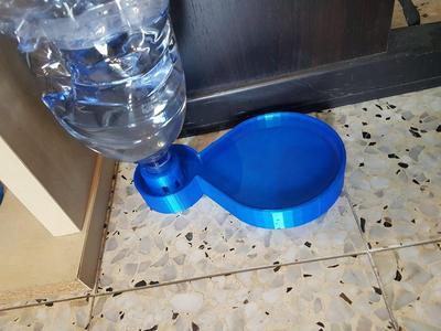 yet another cat water bowl