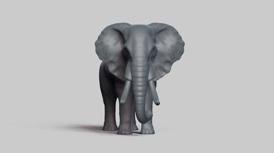 african elephant pose 02