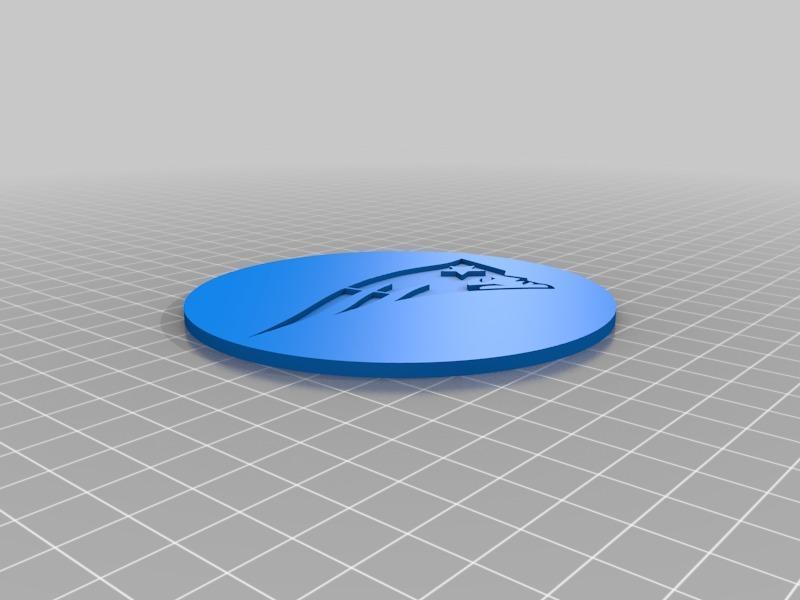 New England Patriots Coaster