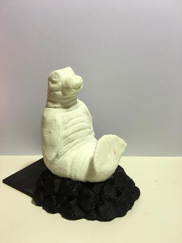 Walrus bookend dual print