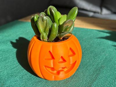 Pumpkin Planter
