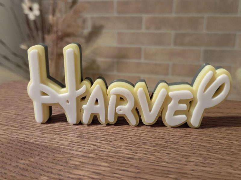 Harvey Disney Name Sign Ornament Room child Birth