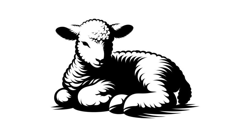 wall art lamb ram