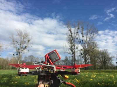 TransTEC FROG GoPro Session mount