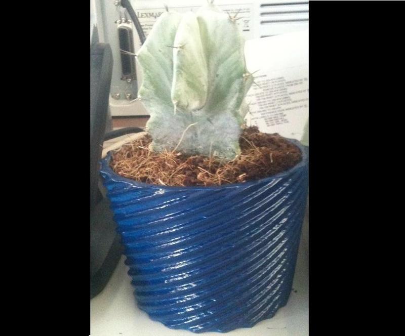 Spiral Flower Pot