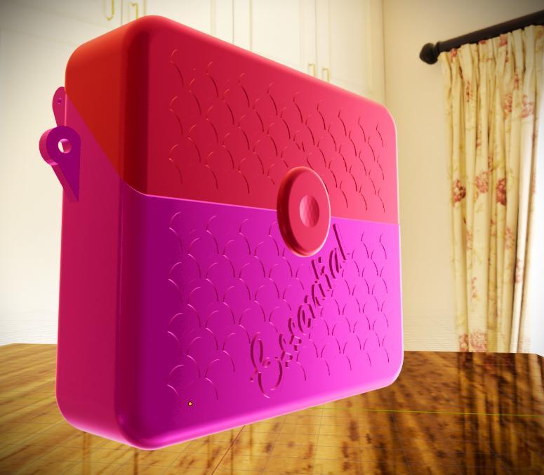 3d printed womens purse /money bag "Essential Surprize"