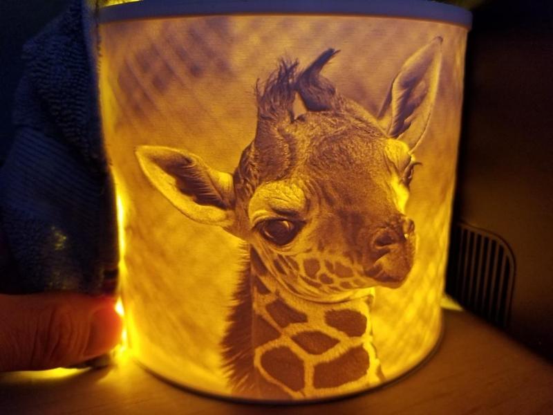 Lithophane giraffe
