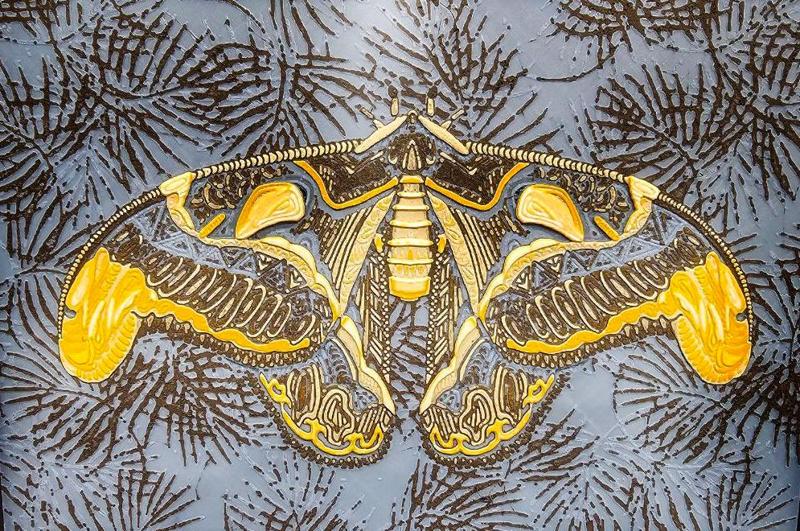 Atlas Moth Hueforge 7 Colour