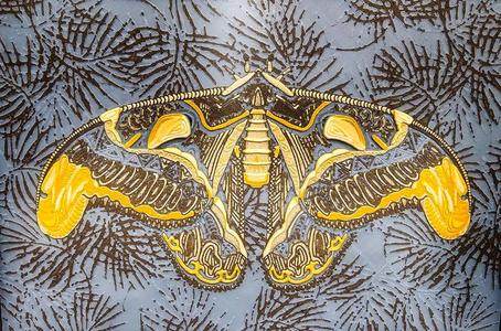 Atlas Moth Hueforge 7 Colour