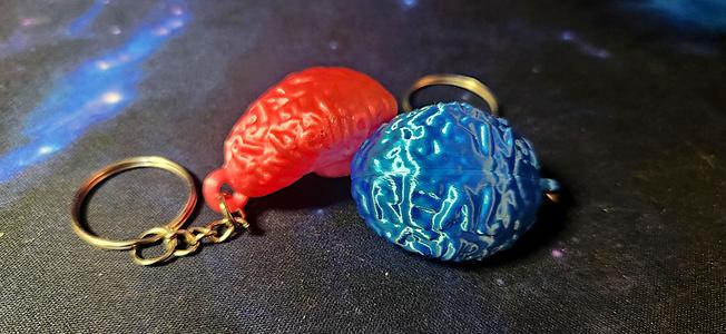 Brain Keychain (R.I. - Real Intelligence)