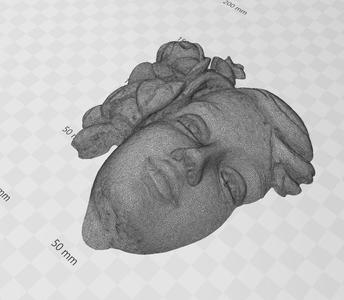 GARDEN STATUE HEAD