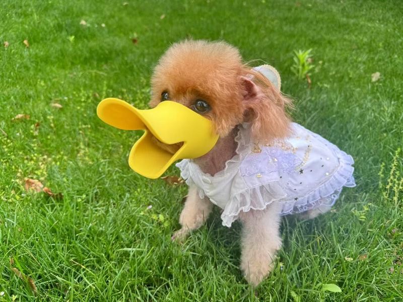 [Prevents barking, biting, and scavenging, for decorative purposes only] Duckbill muzzle, a dog walking essential, dog muzzle