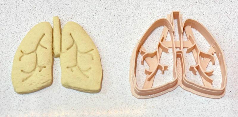 Cookie cutter Human organ lungs