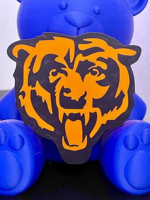 Coaster Bear Chicago