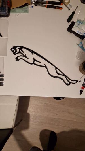 Jaguar 60cm