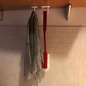 Kitchen cloth and dishwashing brush hangers
