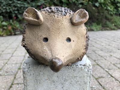Igel Spitznase