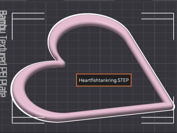 Heart Shaped Fishtank Ring