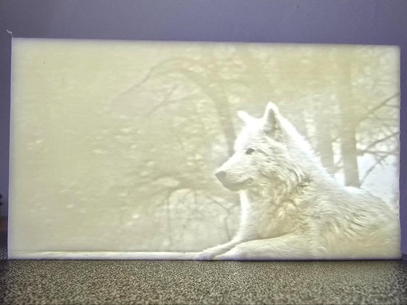 Wolf Lithophane