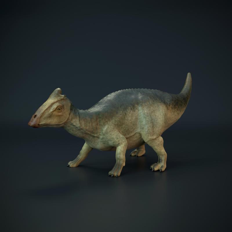 Parasaurolophus baby standing - dinosaur