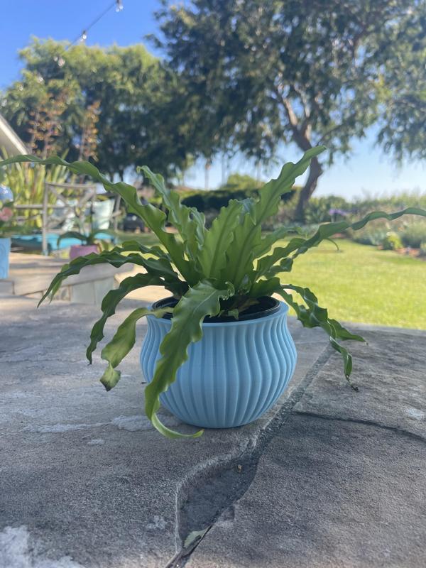 Ribbed Plant Pot
