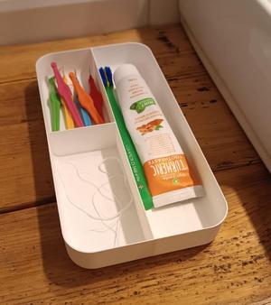 dental organizer
