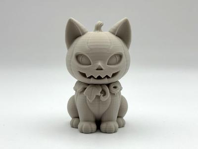 Pumpkitten