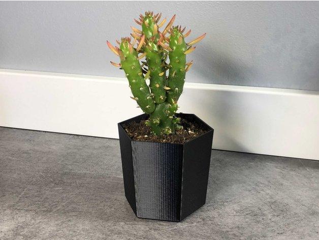 Mini-cactus pot