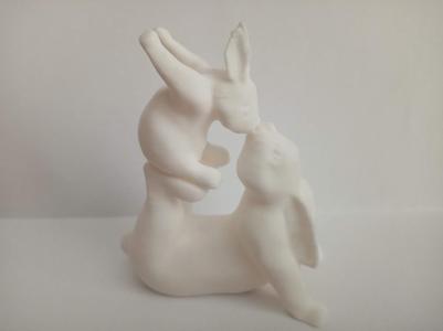 Rabbit mom and bunny baby