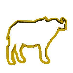 Big 5 Cookie Cutters