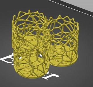 Organizador Voronoi