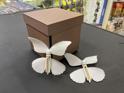 Butterfly Box