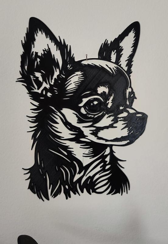 Chihuahua