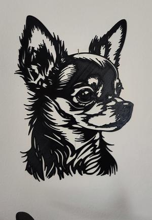 Chihuahua