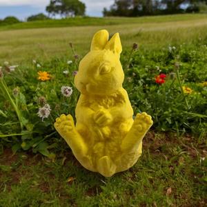 Bunny real