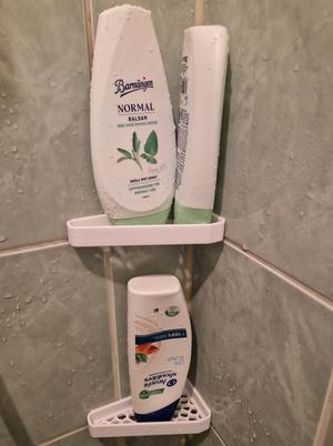 Voronoi Shower Shelf