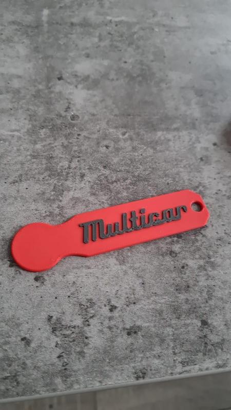 Multicar Keychain