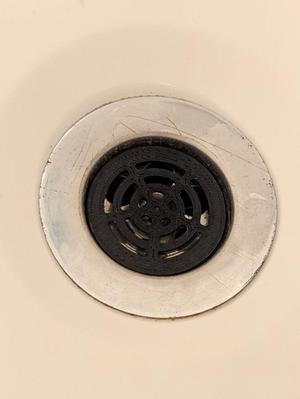 Hair Catcher for 42mm Shower Drains
