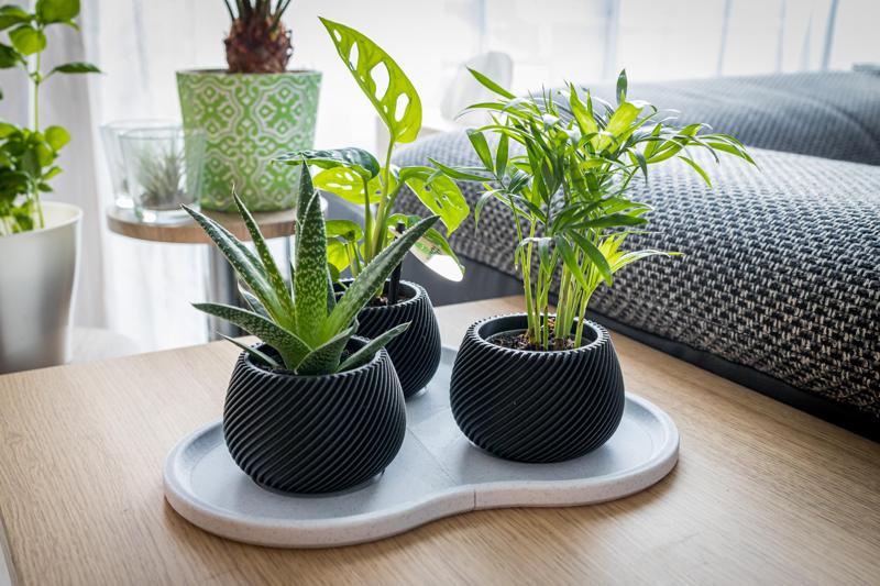 Modular Plate for "Modern spiral planter"