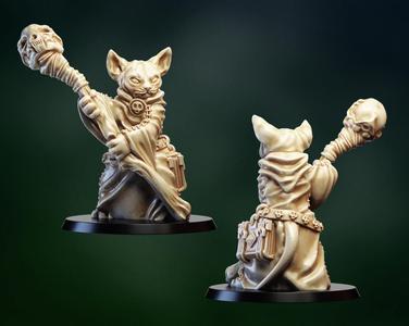 Tabletop miniature. Cat necromancer