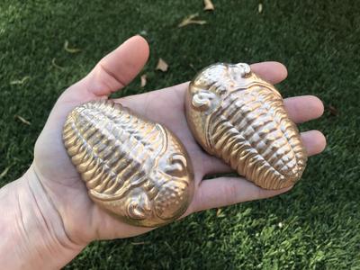 Trilobite for Sand Casting  │ Metal Casting  │ Concrete Casting