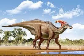parasaurolophus