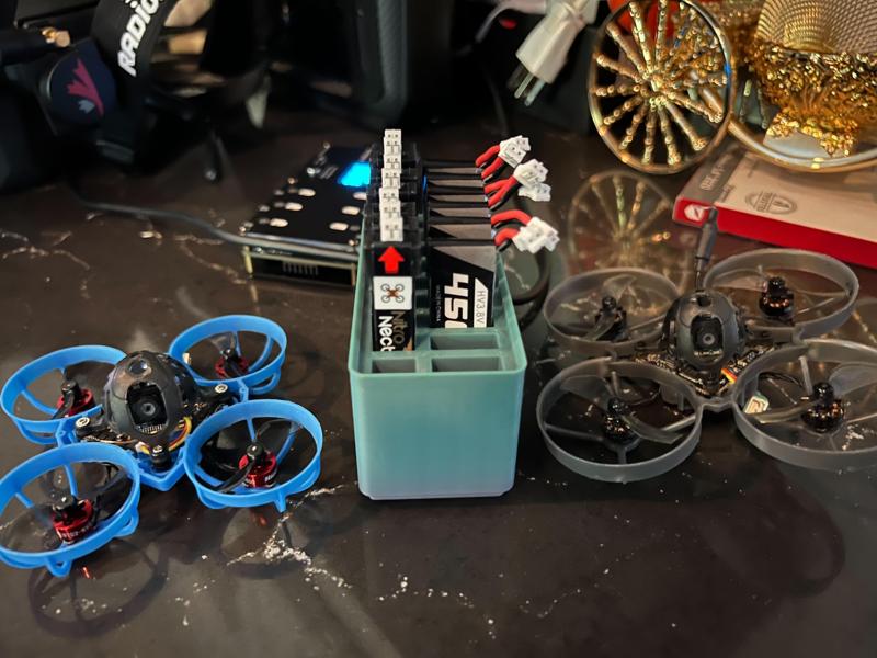1S TinyWhoop Gridfinity Battery Organizer 2x1